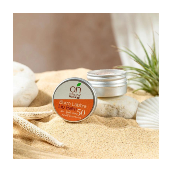Burro labbra spf 50 vaso 15 ml