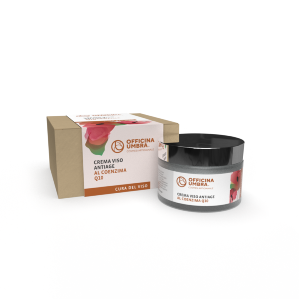 Crema viso antirughe al coenzima Q10, ceramidi e collagene 50 ml