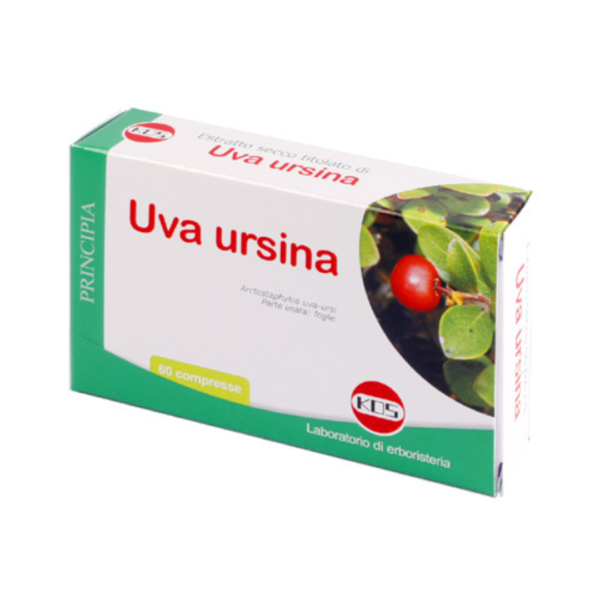 Uva ursina 60 capsule