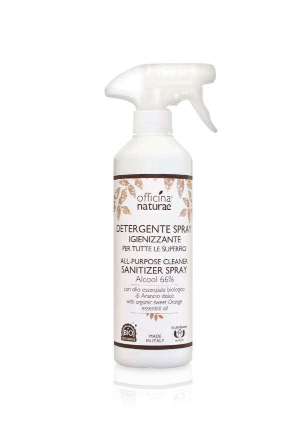 Detergente Spray Igienizzante 500 ml
