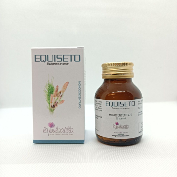 Equiseto 50 opercoli La Pulsatilla
